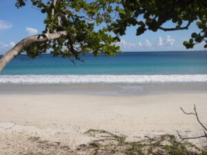 andahavbeach7dagmetboom