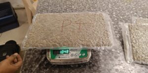 22-Sept-Customs Ganja