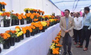 5 Feb Paradip Flower